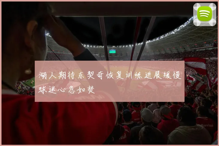 湖人期待东契奇恢复训练进展缓慢球迷心急如焚